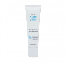 Восстанавливающий крем для лица Etude House SoonJung 2x Barrier Intensive Cream 60 мл